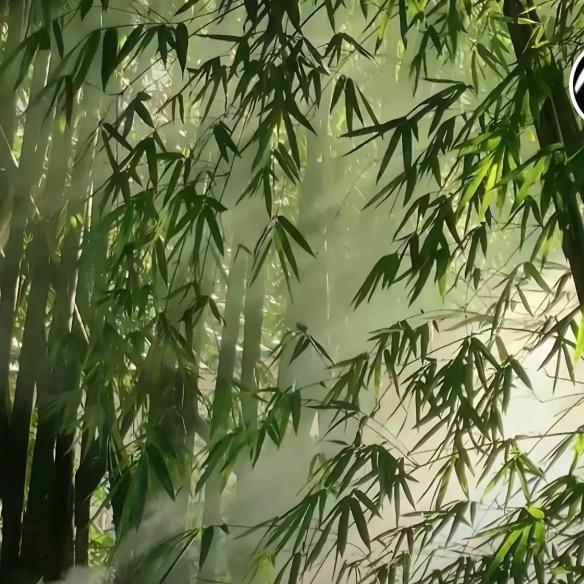 弘法居士