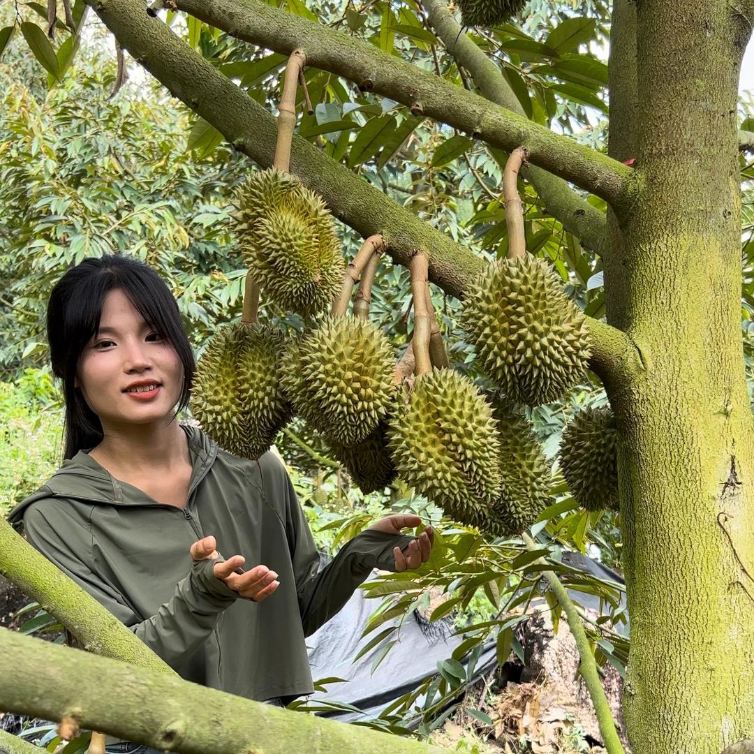 灵姗果树苗木专营店