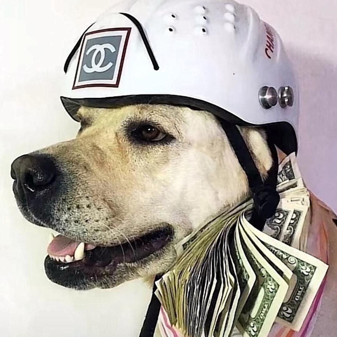 小强🇲🇴澳门