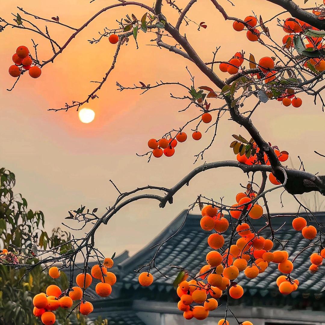 小仙女穿搭