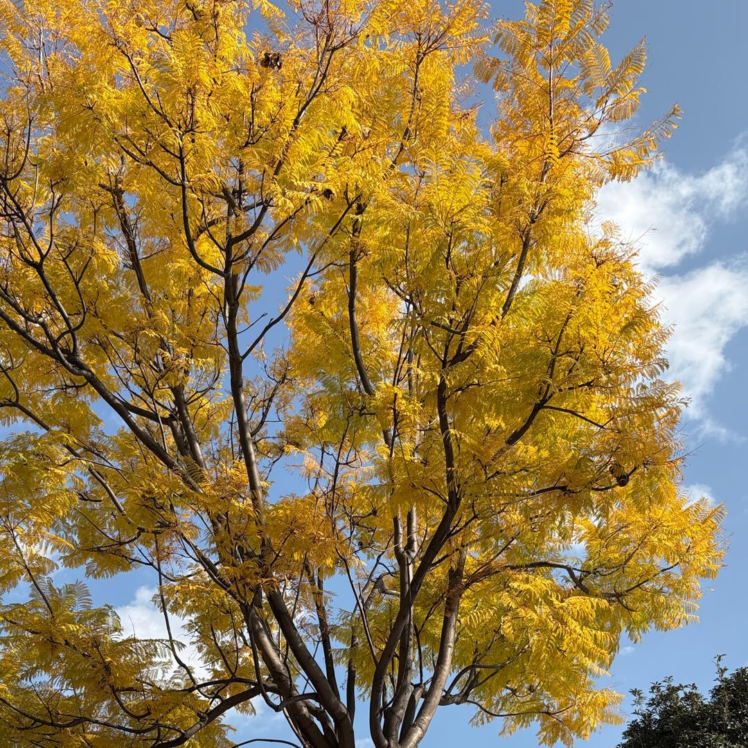 🌱💭𝙡̶̶̶𝙤̶̶̶𝙫̶̶̶