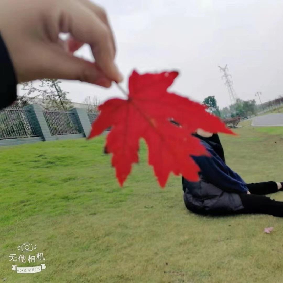 你的高小姐