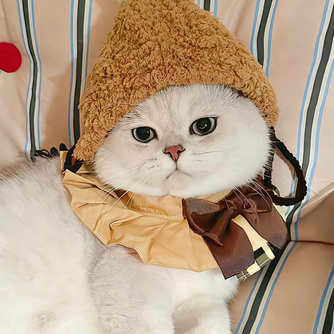 小片