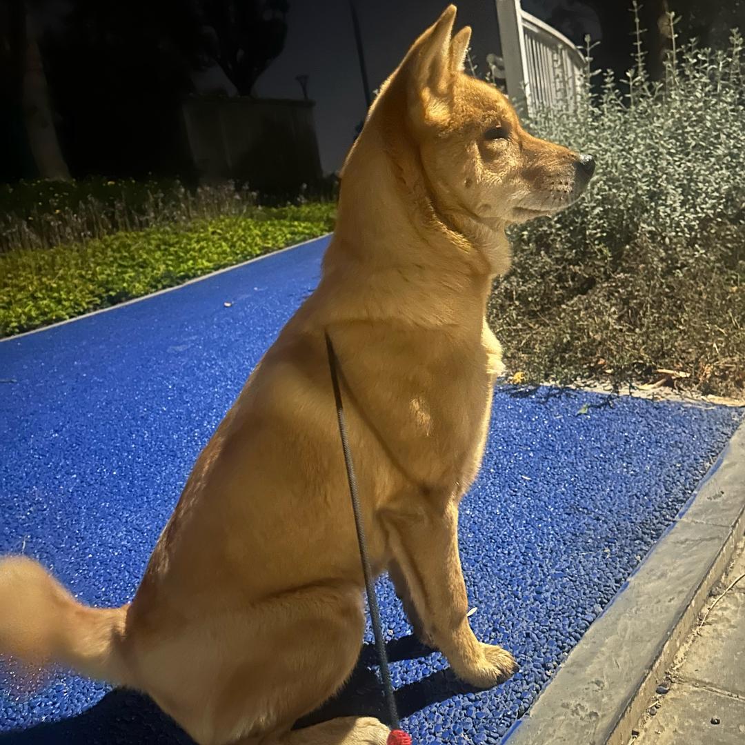 陪不了青春期，那就陪你更年期