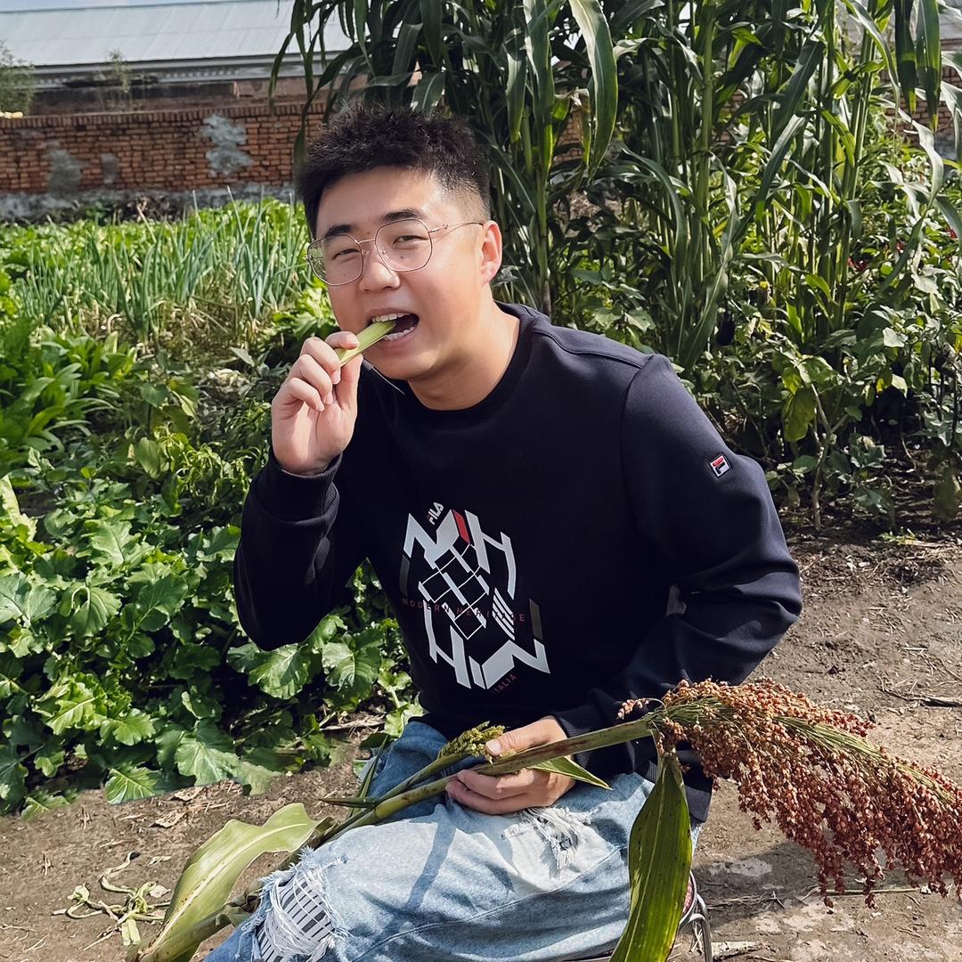 大李坨子