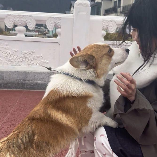 蛔虫怪