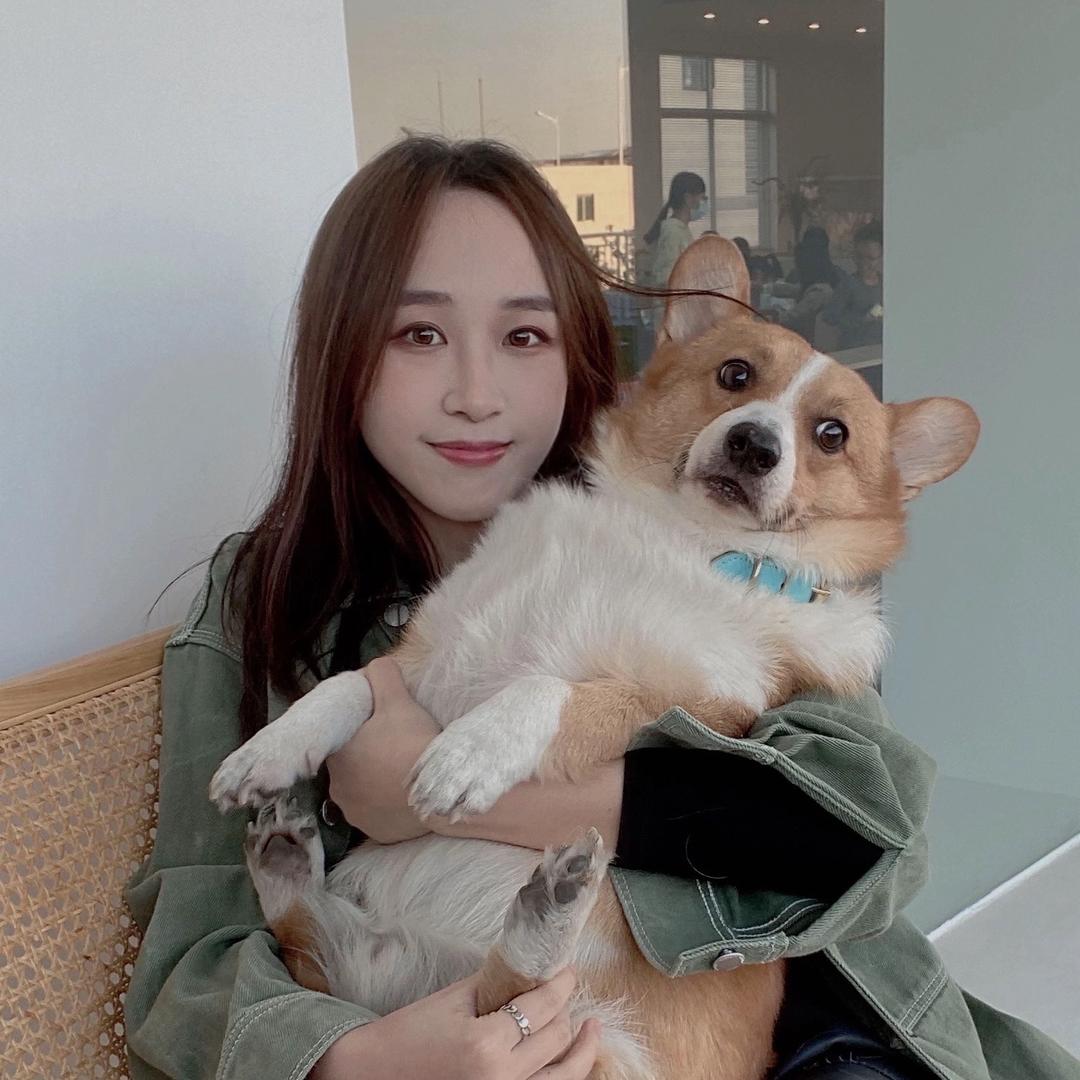 宝藏森林