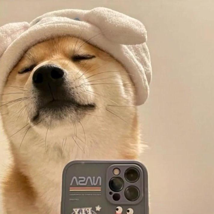 观我旧往