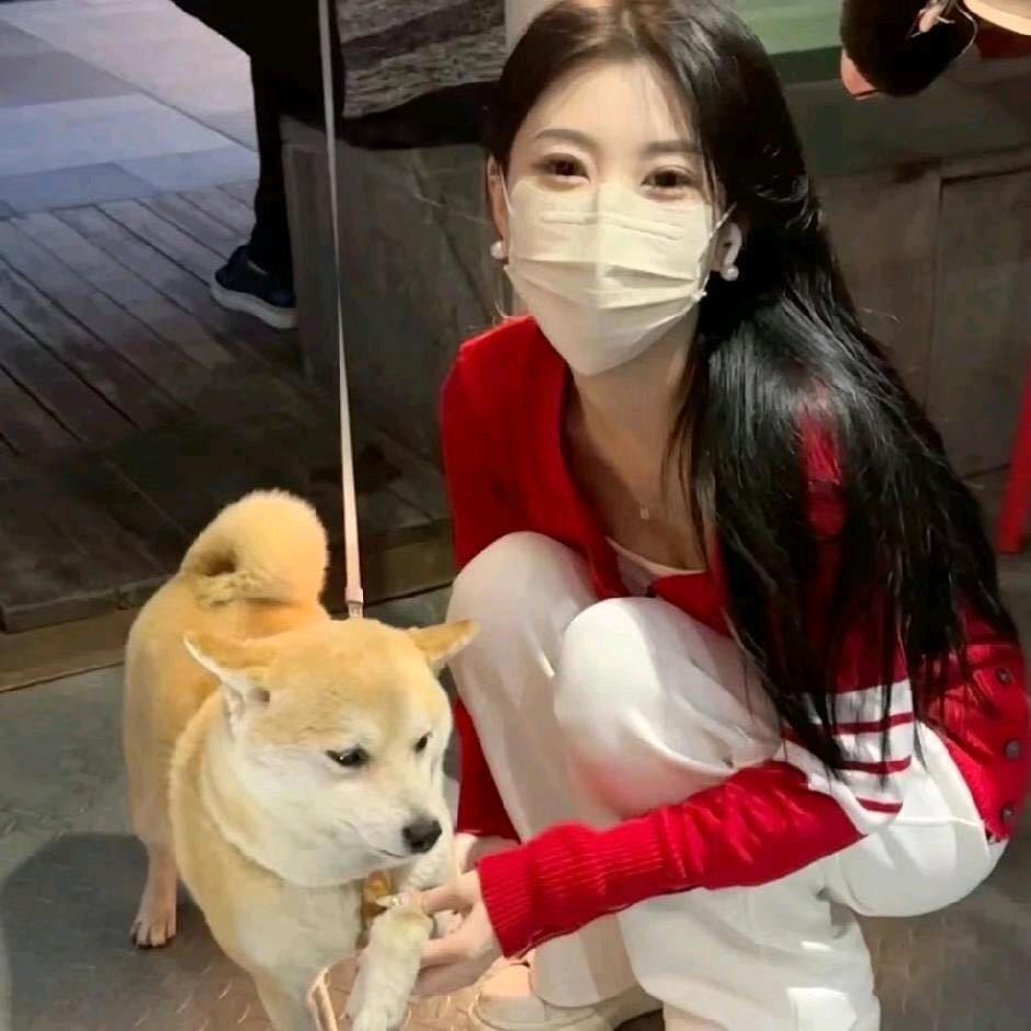麒宝贝