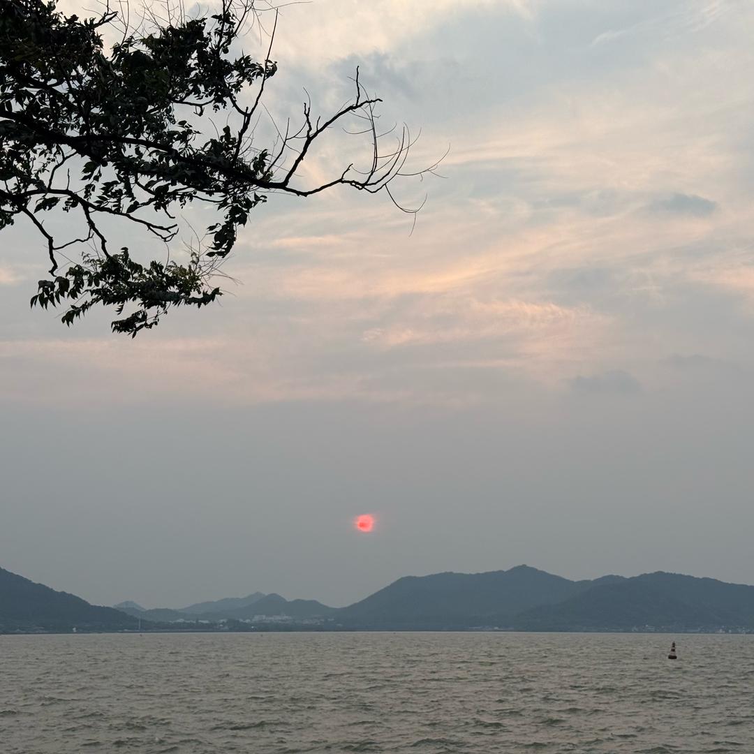 💋💓莫须无🌸🌸