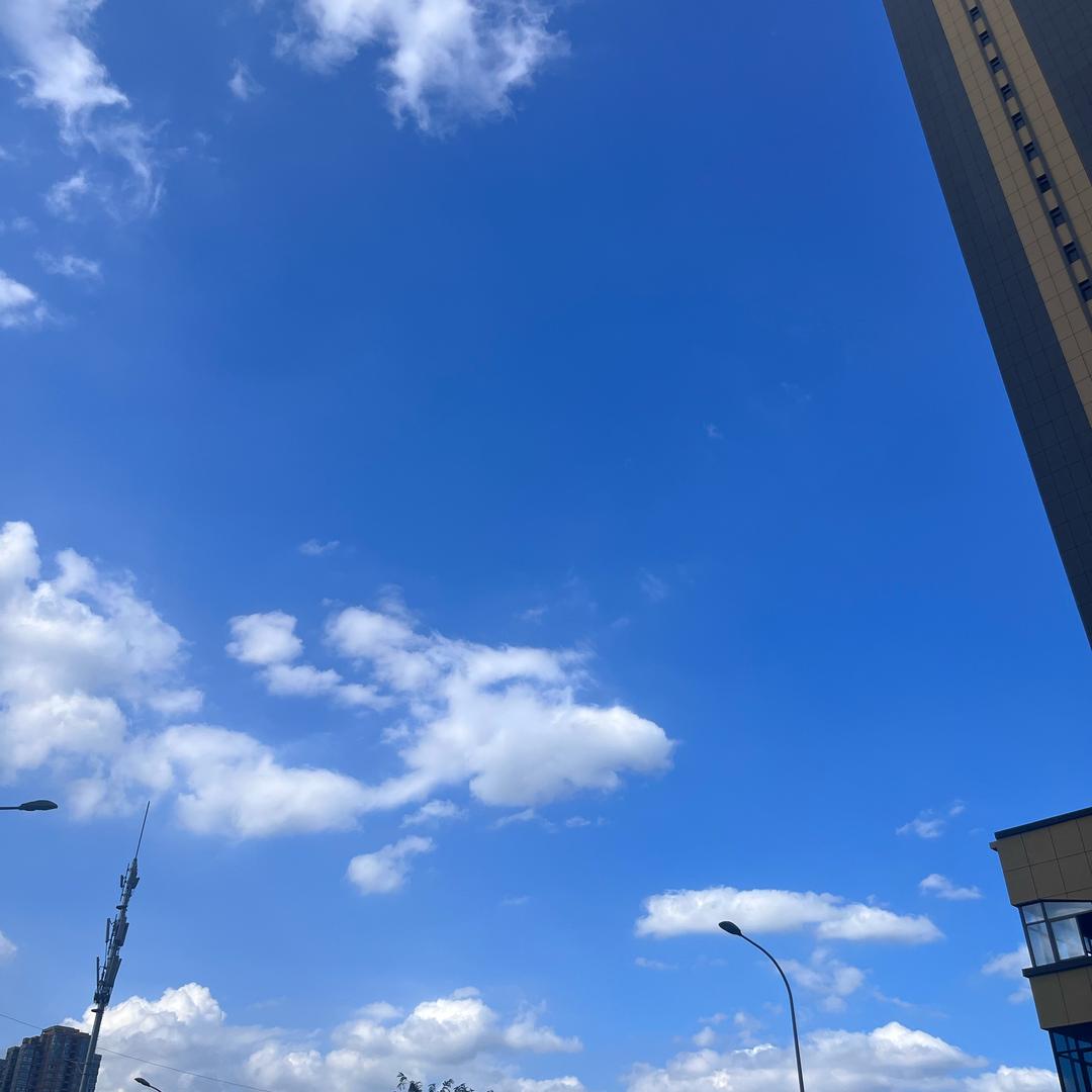 地雷