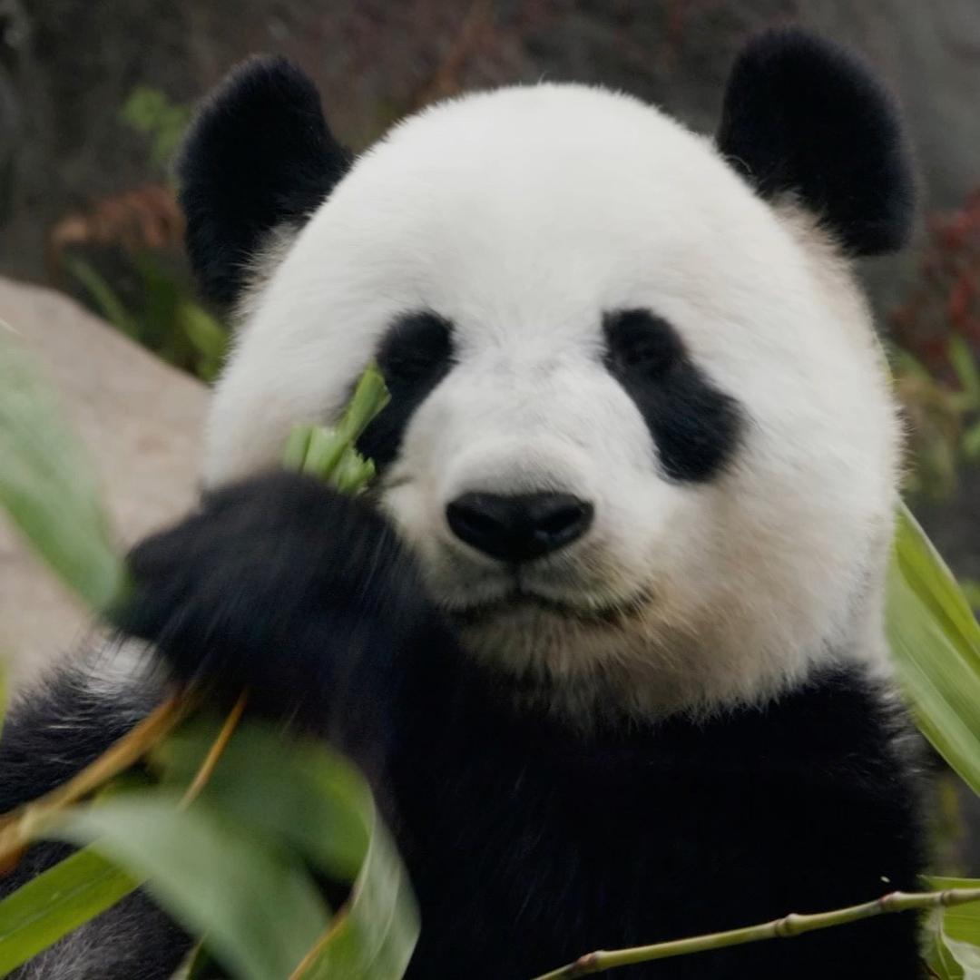 好好看看