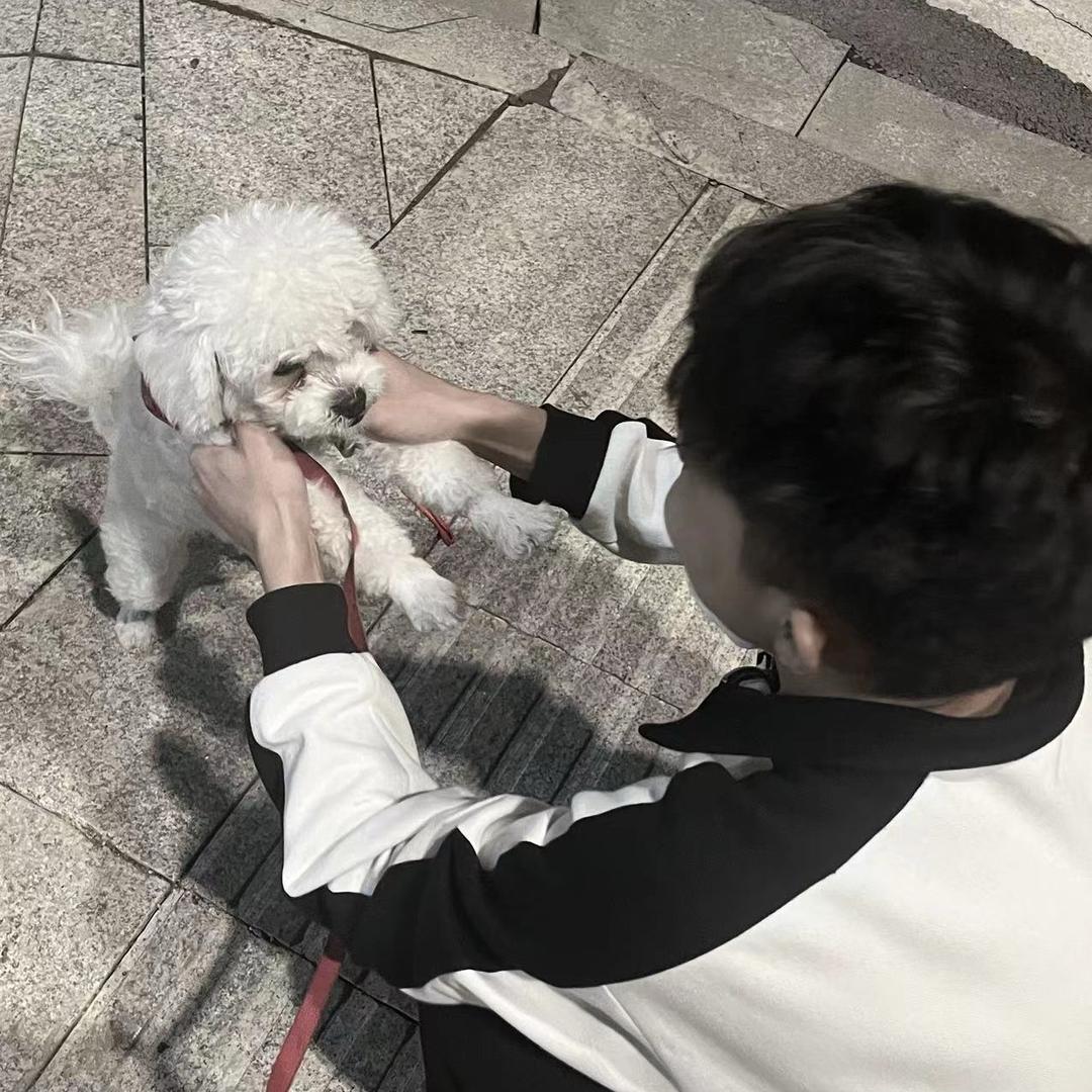 不许发呆