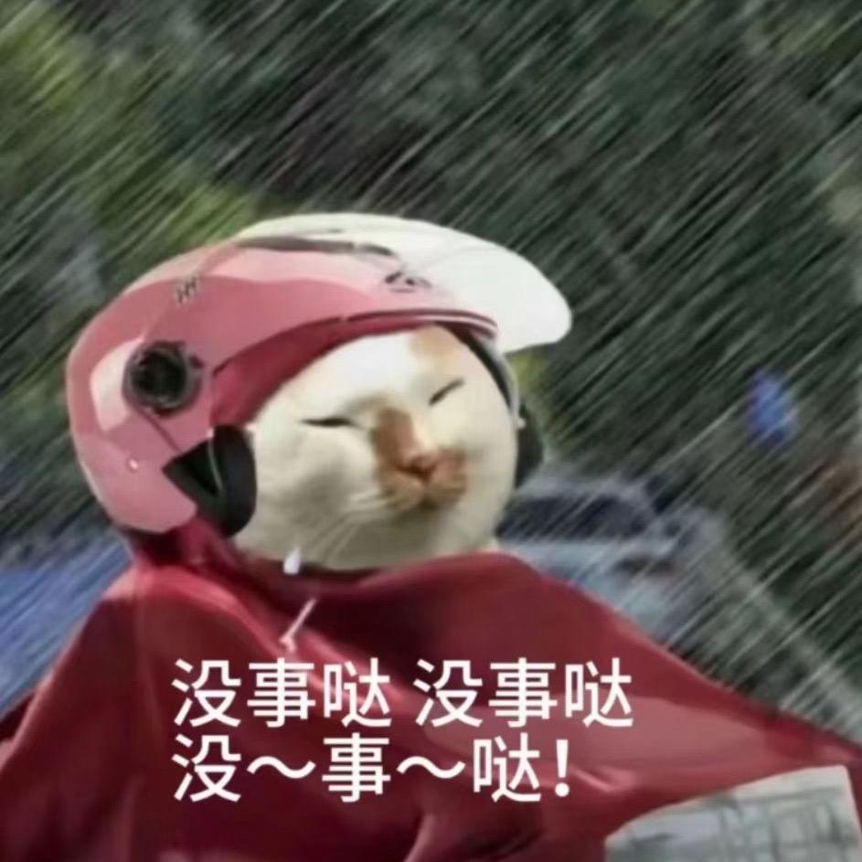 上班去了