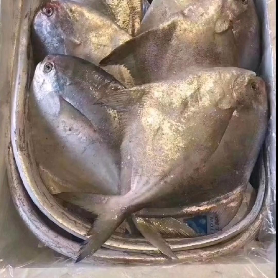 兴丽妈