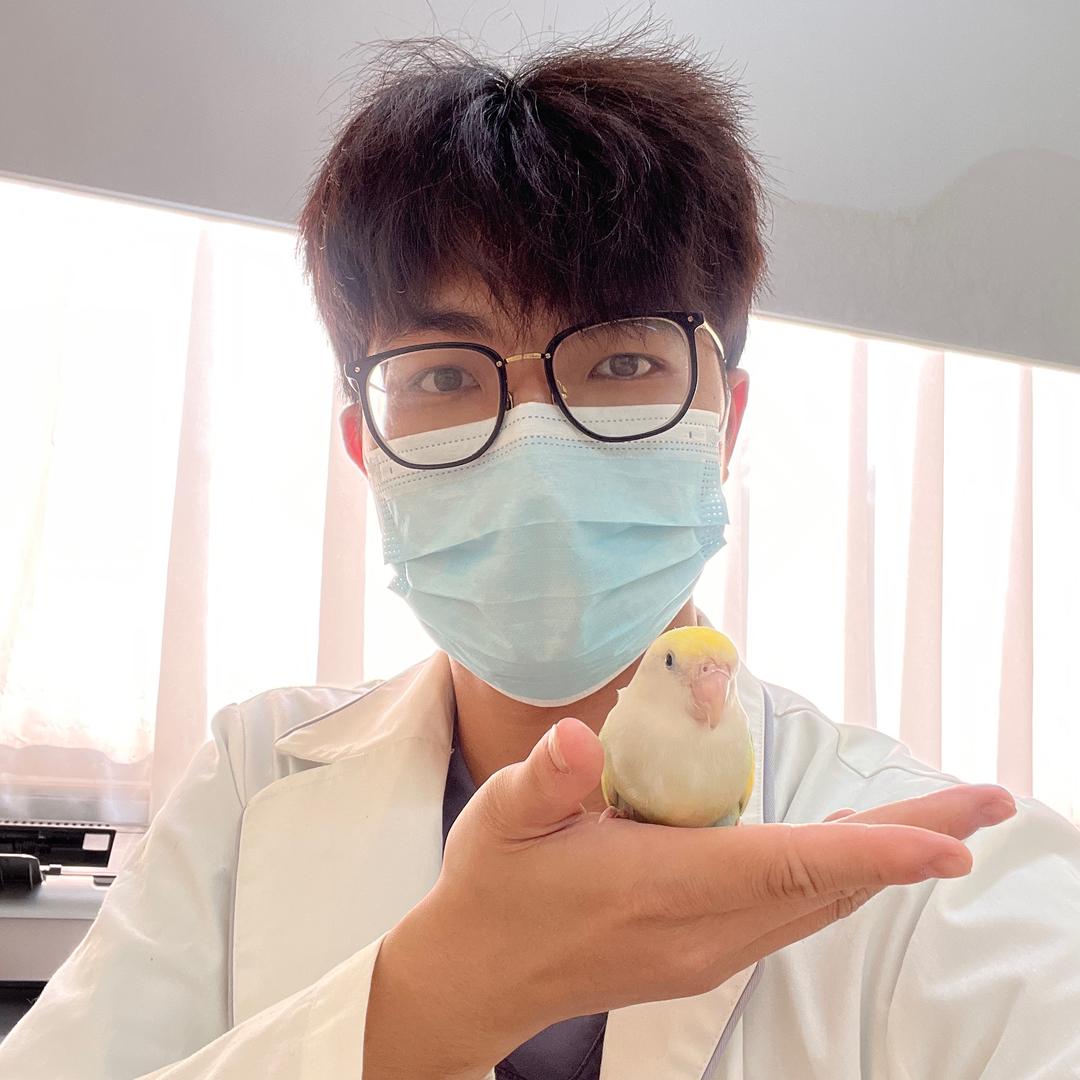 神奇动物治疗师