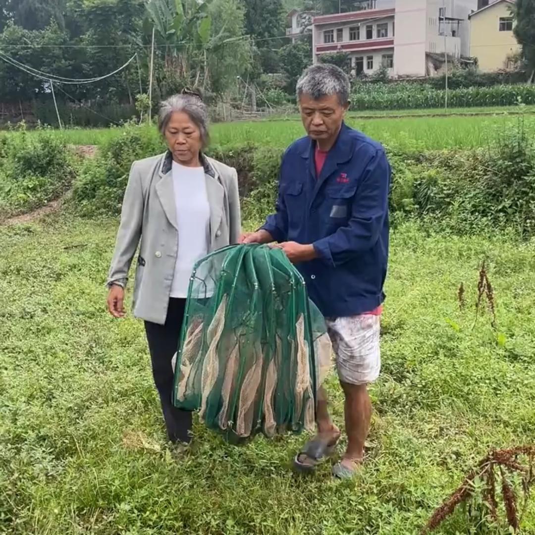 农村小芳