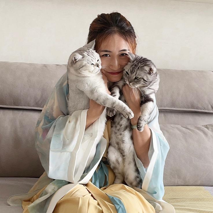 猫悄悄