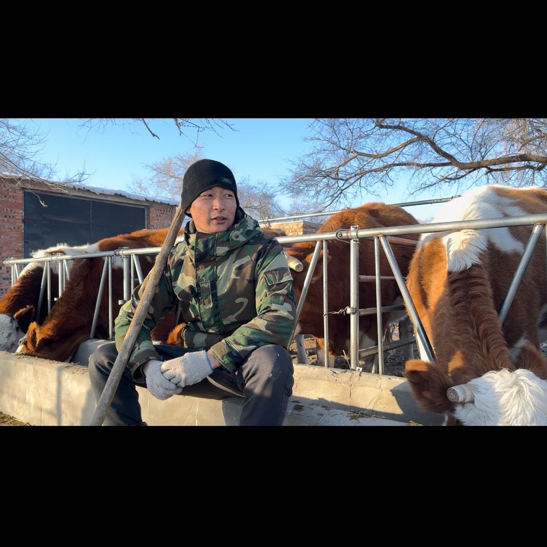 牛司令