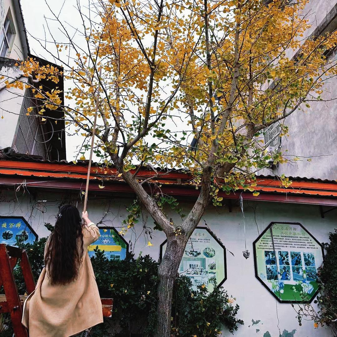 ♥️😜张家小姐姐🫶🫶🫶