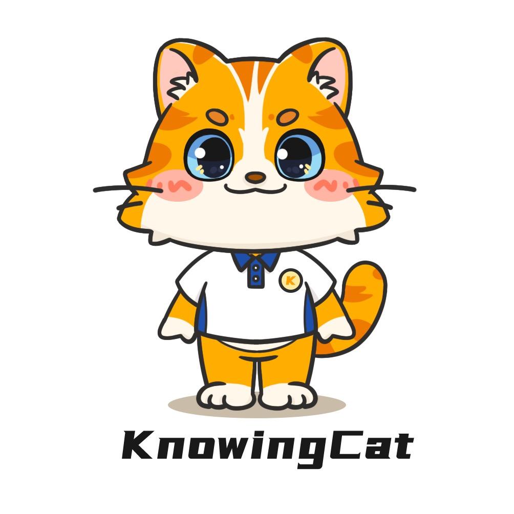 知了猫