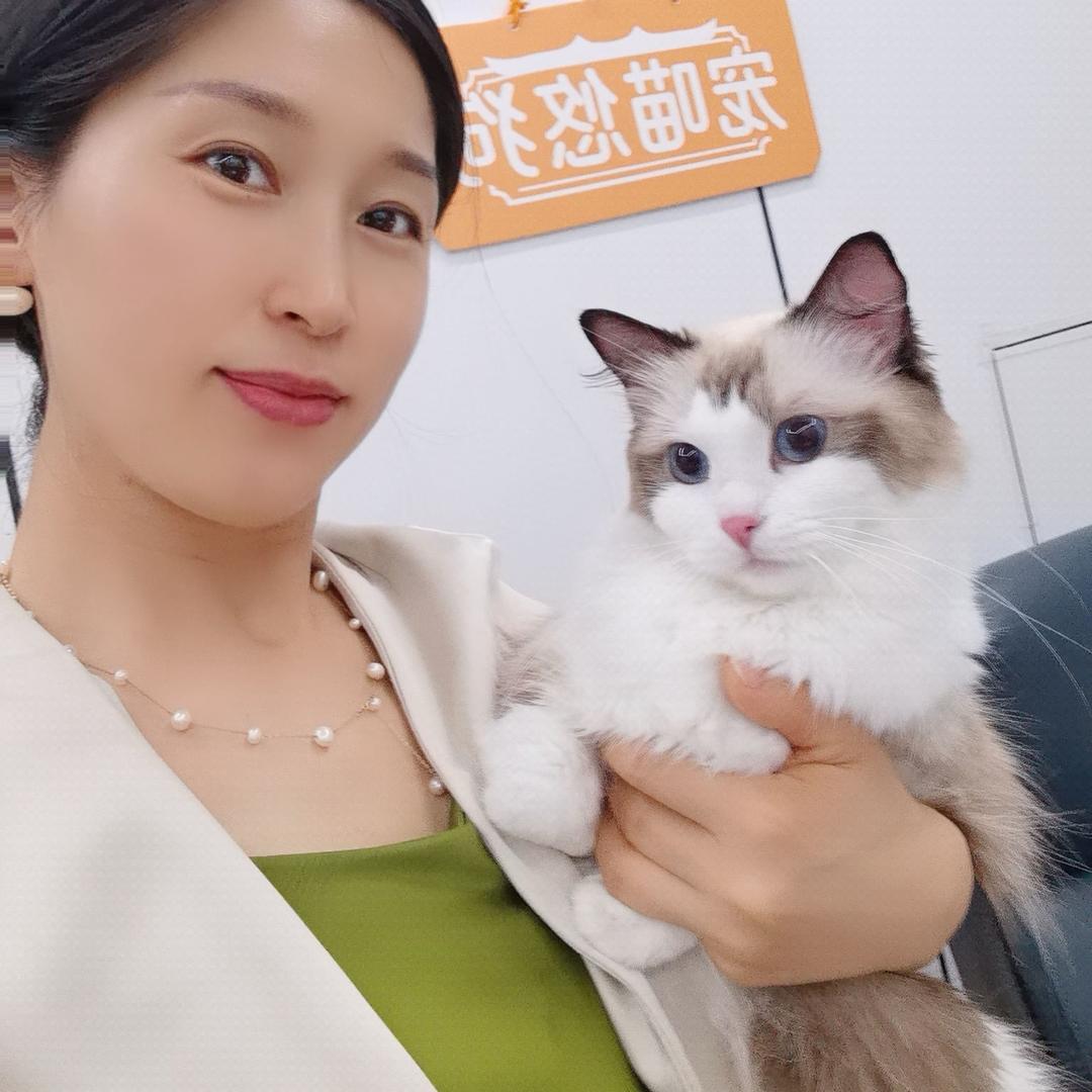 六六的宠喵乐园