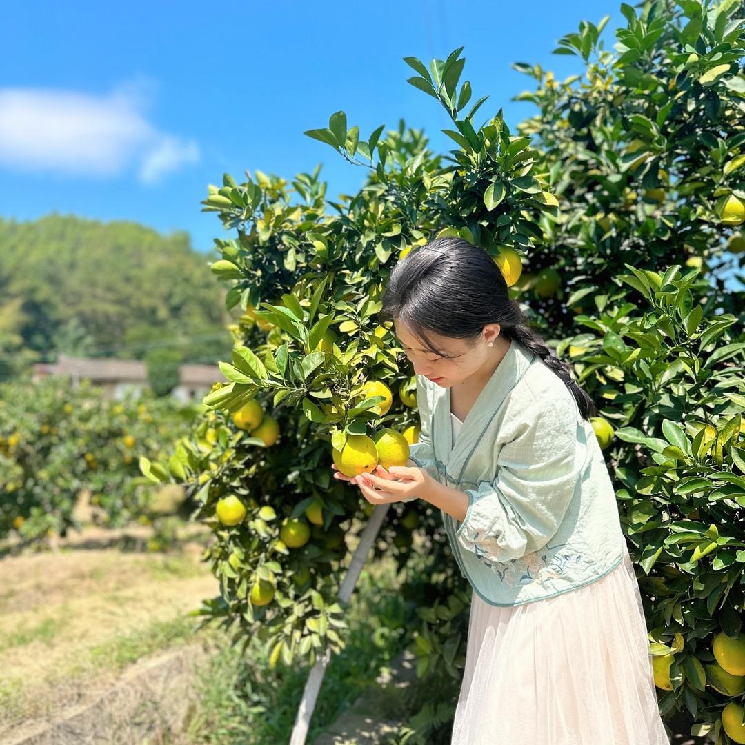 瑞金市武阳镇糖豆农场