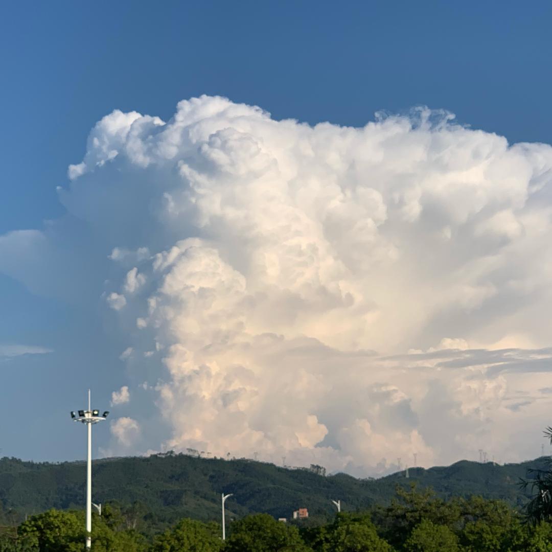 不会游泳的胖头鱼🐟