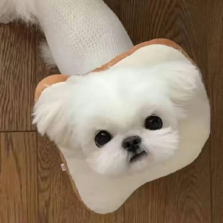 拉88嘛