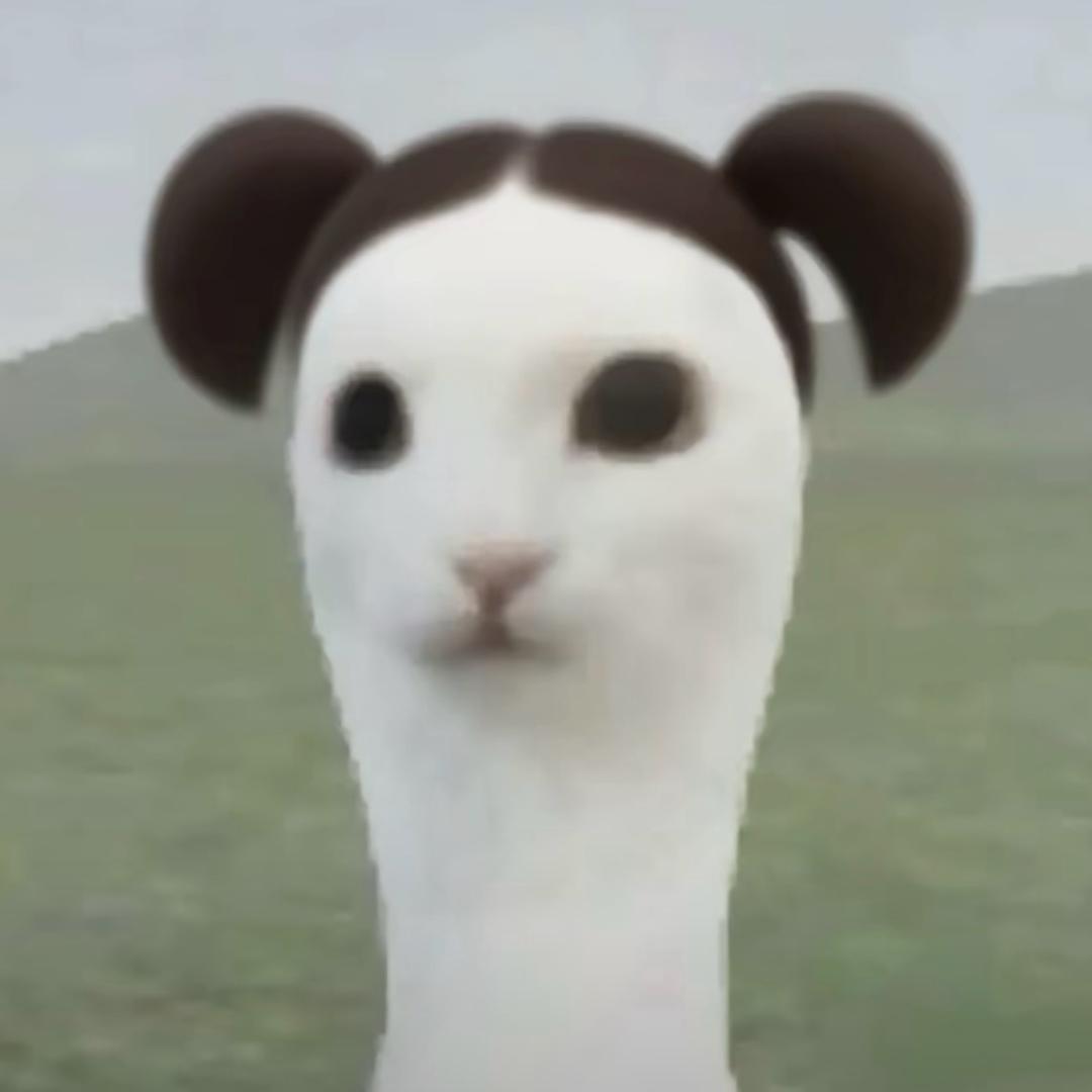 是彤不是桐