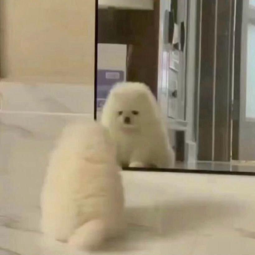 你的双眼常含忧郁