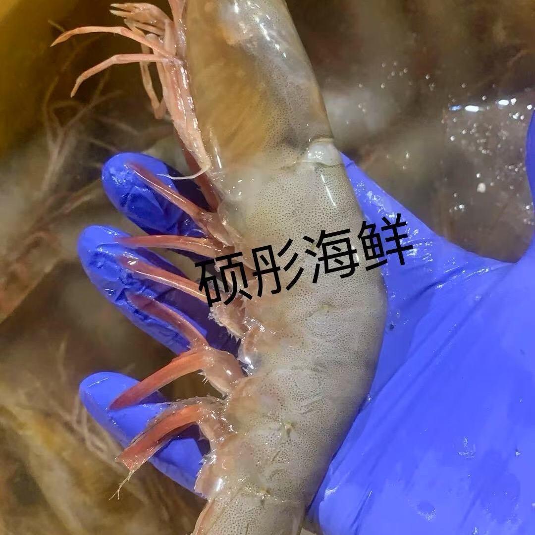 硕彤海鲜