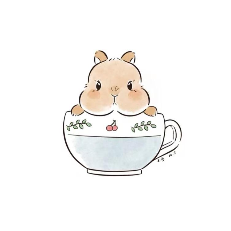 辽阳萌宠小兔