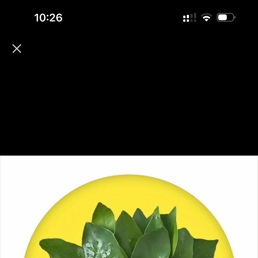 亳州高新优品服饰生活坊