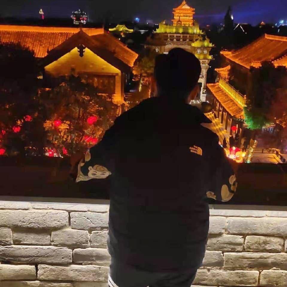 山东新泰金政名车