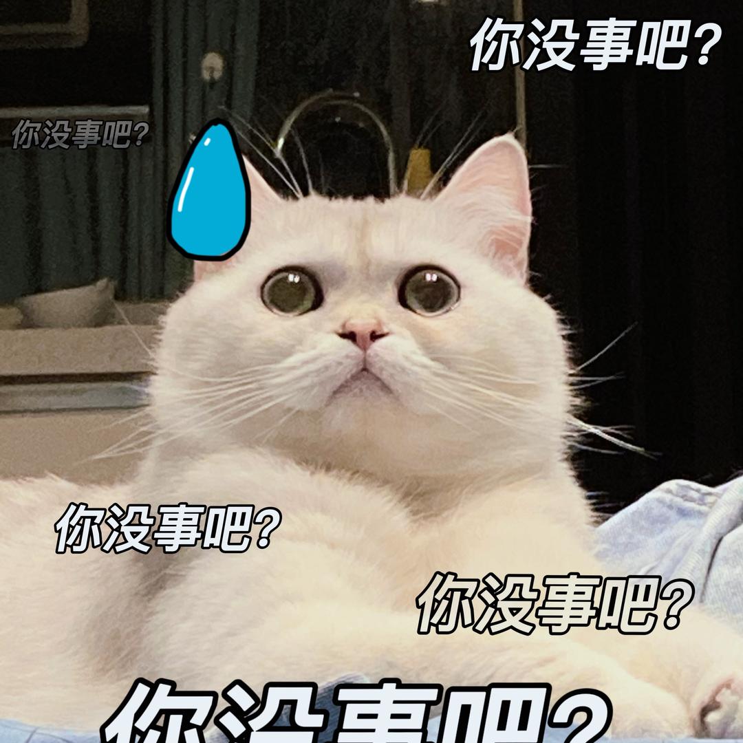 麻辣荡荡荡荡
