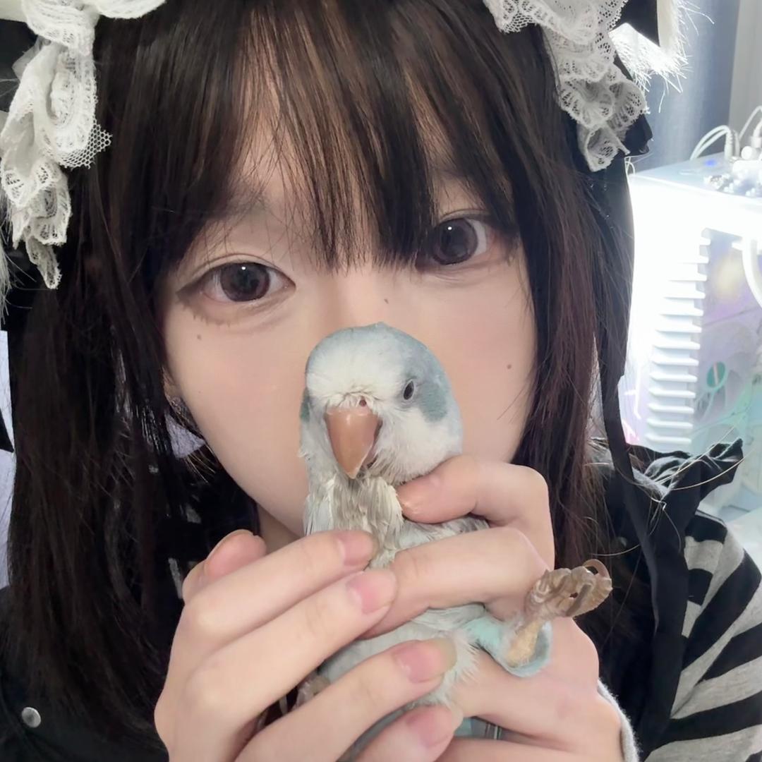 宇智波小九