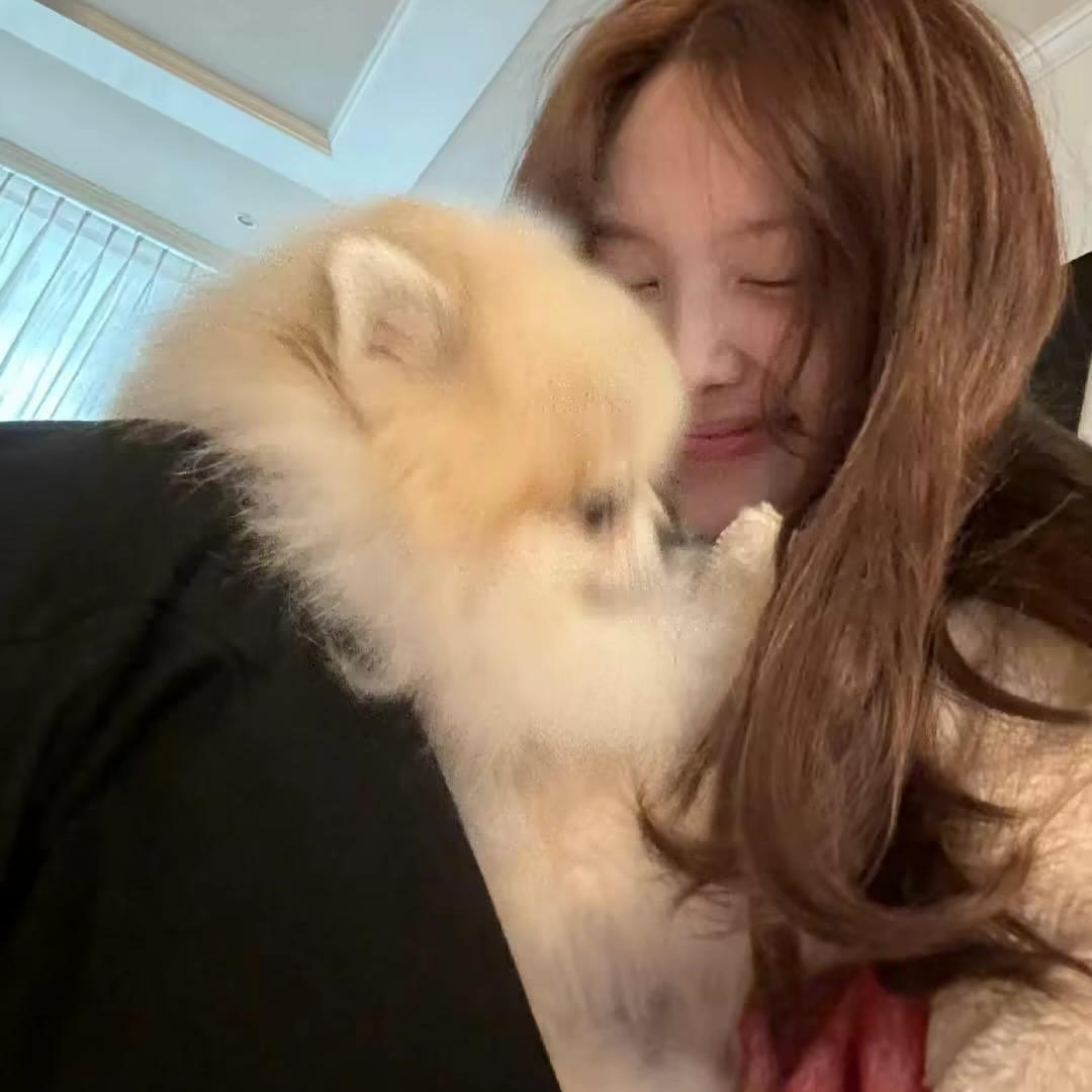 成都租房小雅