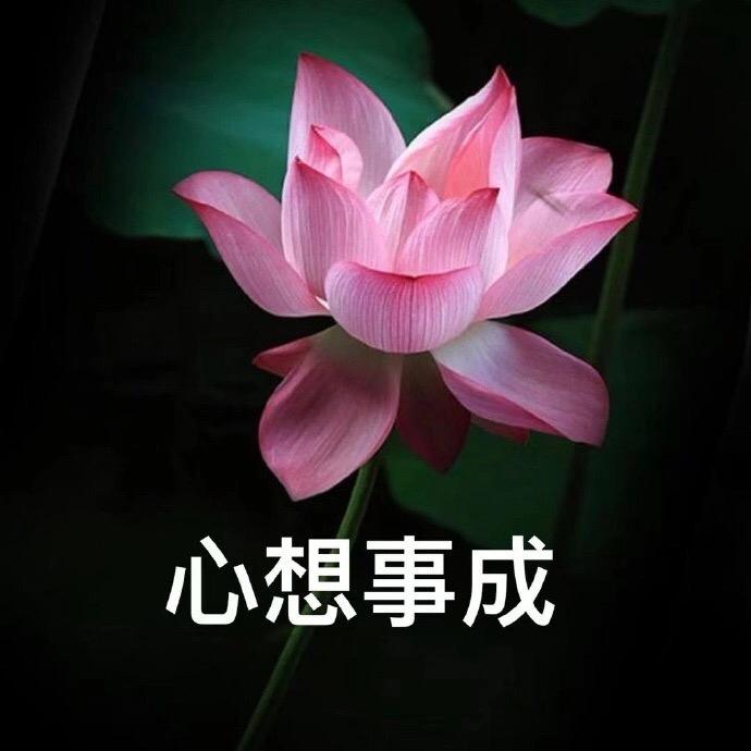 小小师妹