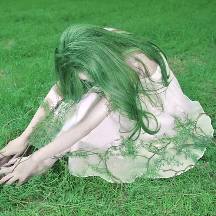 ᥫᩣyᥫᩣ