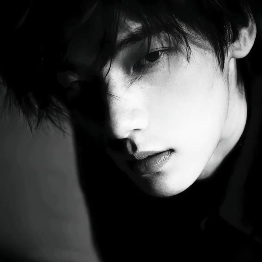 笨蛋小狗