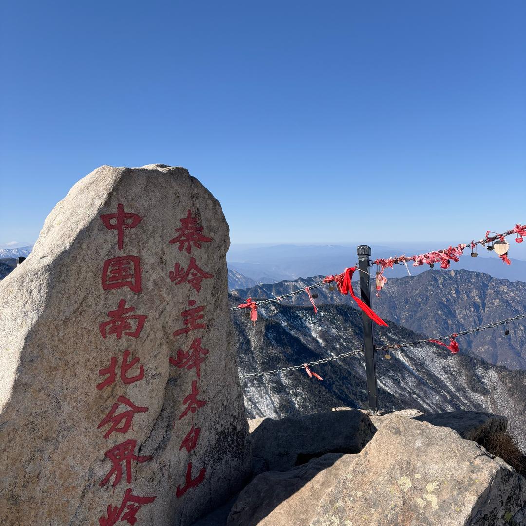 龙尊