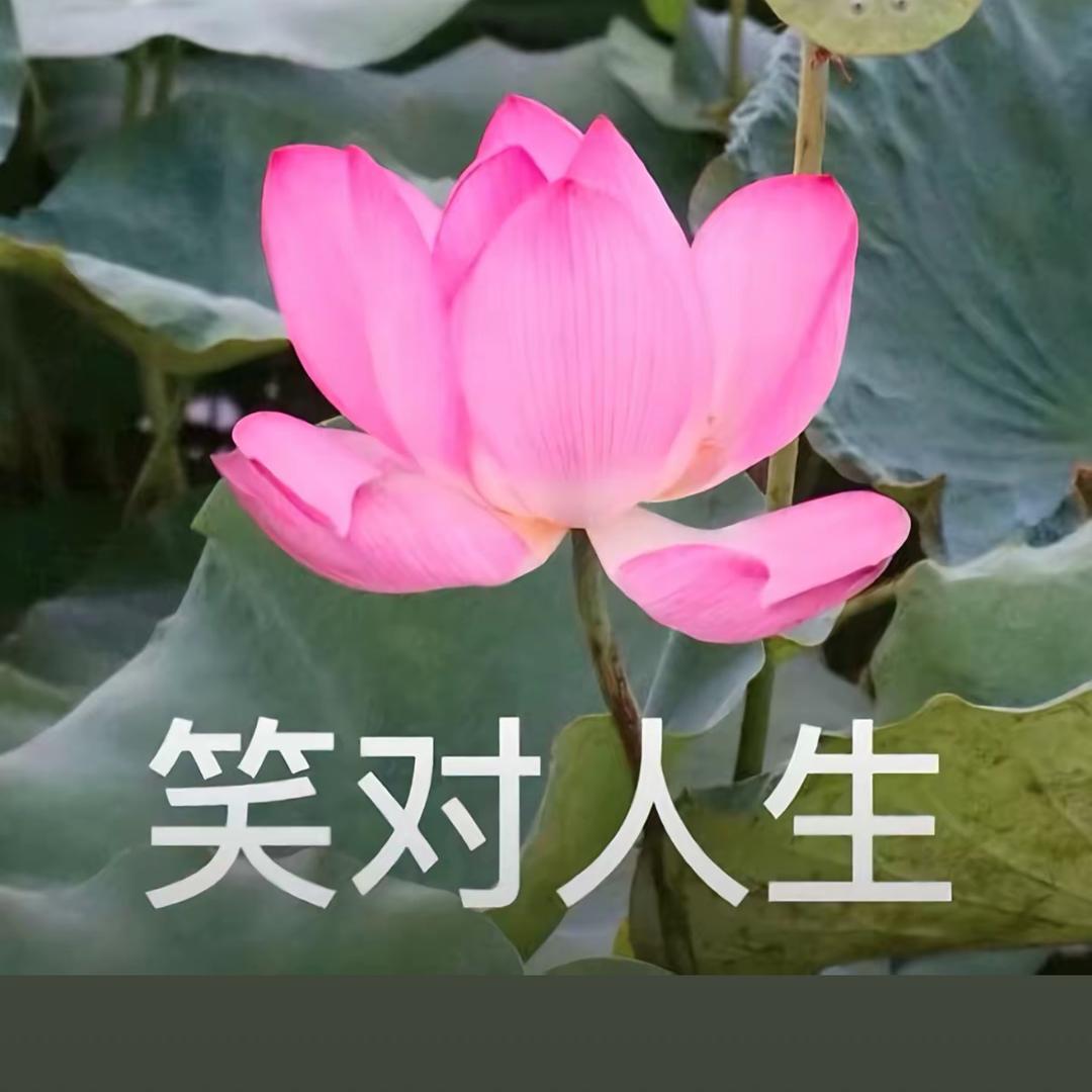 王姐🌸🌸