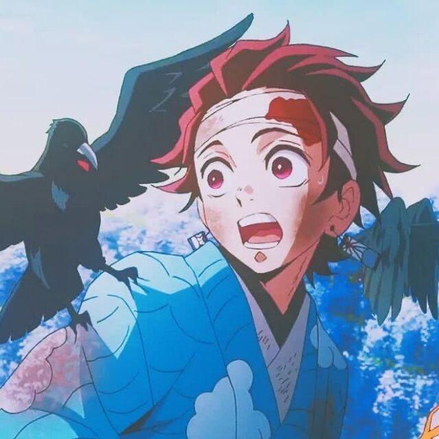 沈长宁