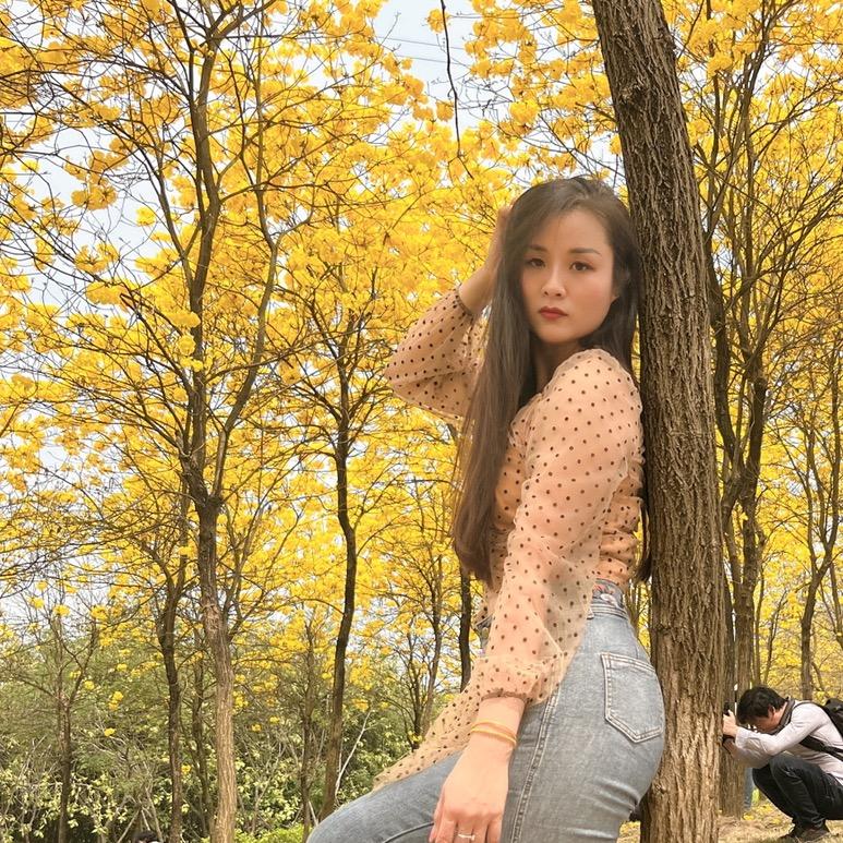 窗帘小姐姐娟