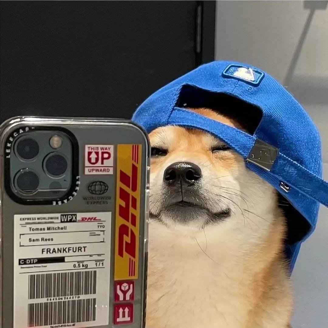 宸崽OvO