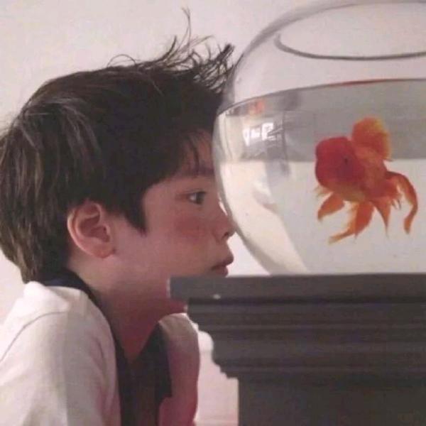 三十亿少女的梦