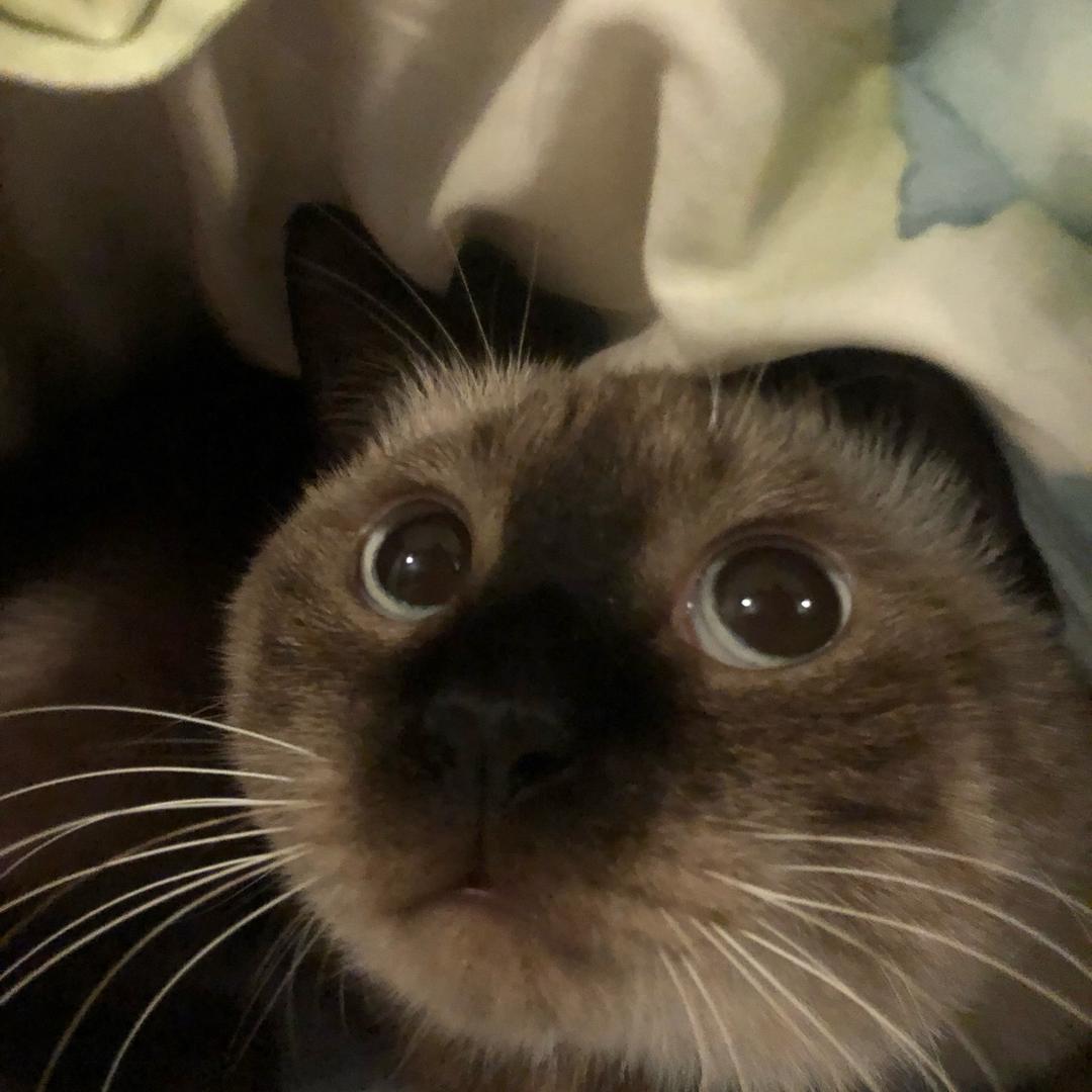 心动💗