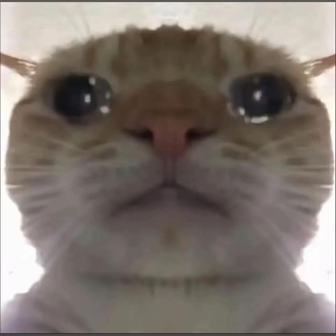 鼠道难（三角洲行动）