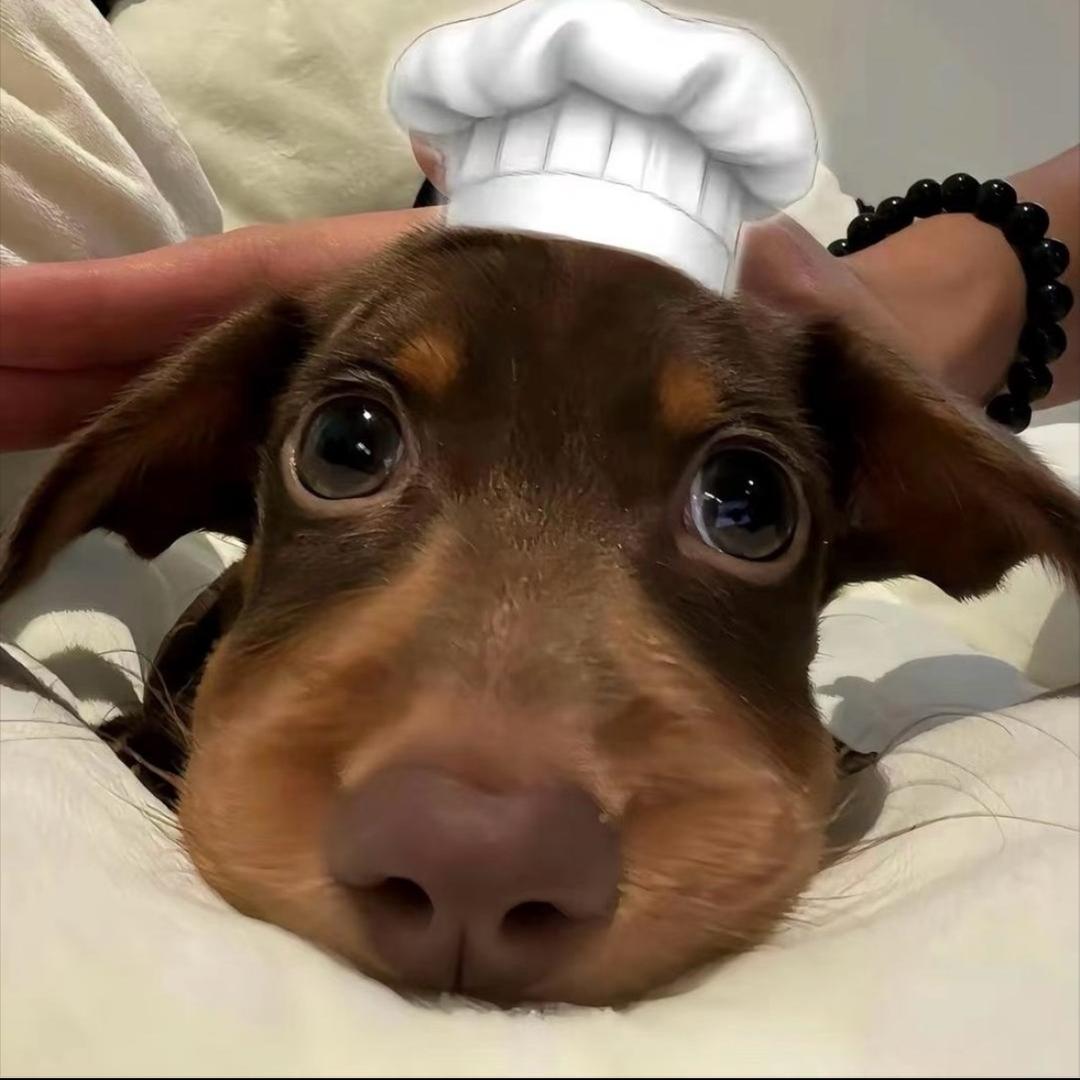 🐾